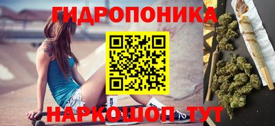 дмт Будённовск