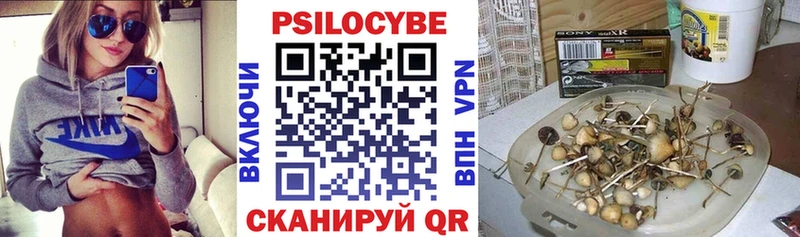 Галлюциногенные грибы MAGIC MUSHROOMS  что такое   ссылка на мегу маркетплейс  Новокубанск 
