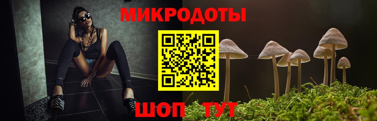 Псилоцибиновые грибы Psilocybine cubensis  Вход с VPN  Новокубанск 